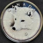 Maple Leaf Polarfuchs coloriert  1oz Silbermünze 2021 – Bild 2