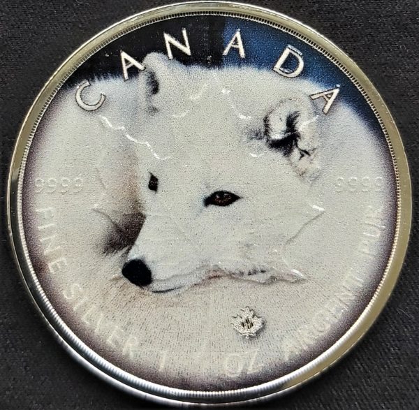 Maple Leaf Polarfuchs coloriert  1oz Silbermünze 2021